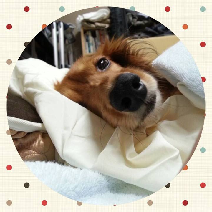 Edd09d0e bbe8 476d b740 08a95847b473