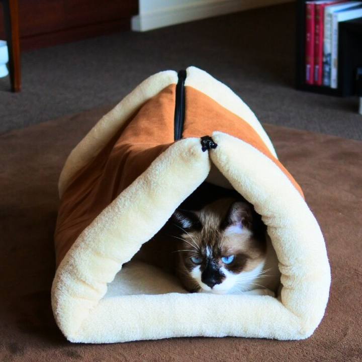 Edd09dcb 45dc 4383 8fbb 17a21807807f