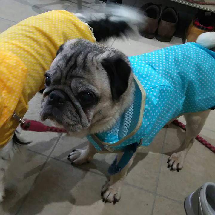 Edd12565 c2a8 40dc ac7c 305c521c460a