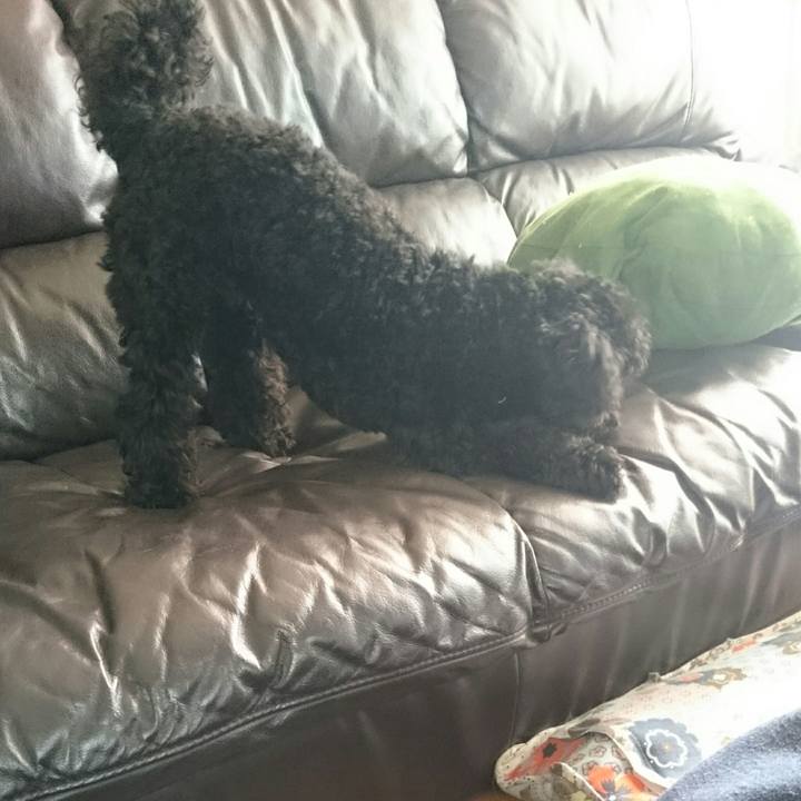 Edd15801 711f 4a69 a759 d213dd42c6fe