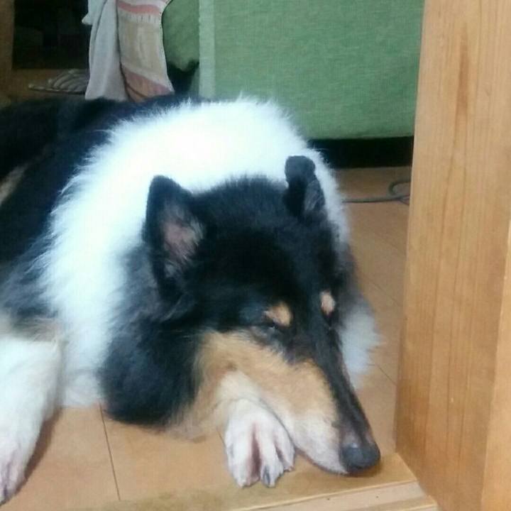 Edd15cbb 0035 44ad 9572 2dc19102b544