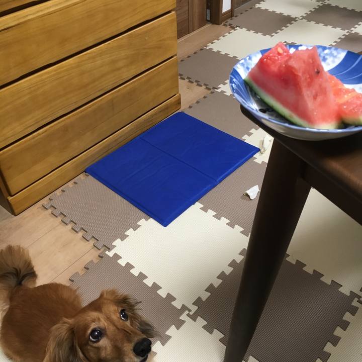 Edd21d43 a9b4 478c 977c 9925510852d4