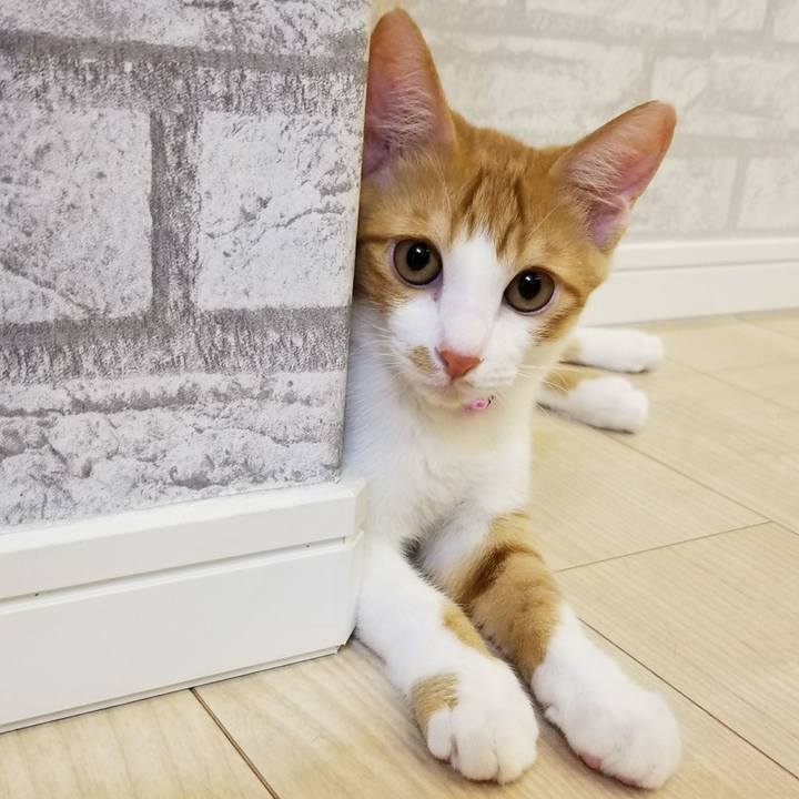 Edd255f2 ea1a 4a53 9b0b 5dcb4cb5d4e7