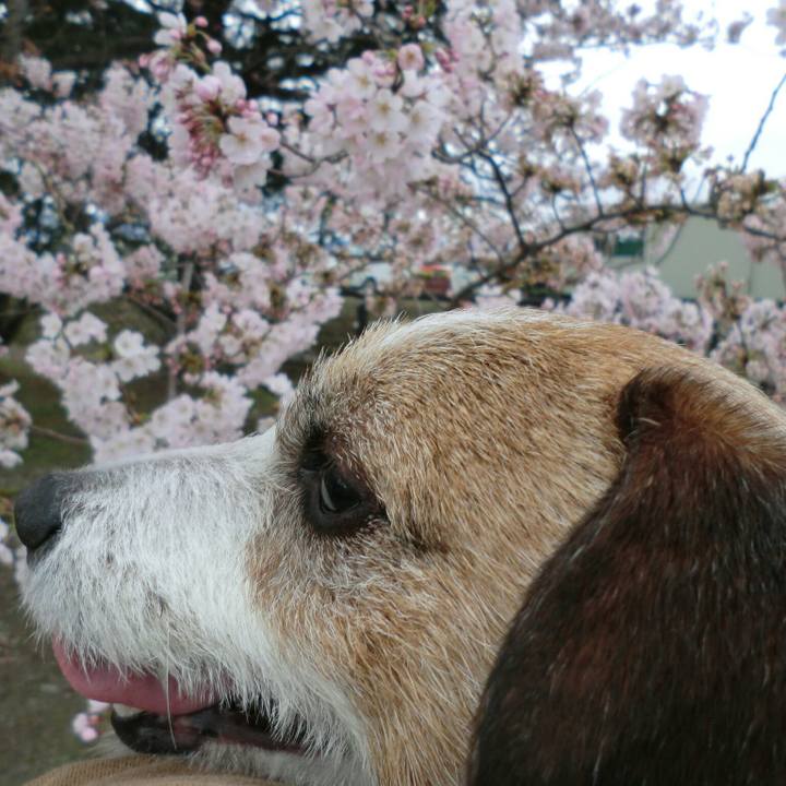 Edd32df6 eb13 4bda 8456 9cff1db2ef25