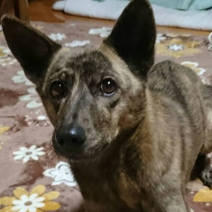 Edd37892 7264 4882 a549 fd7d9b816685