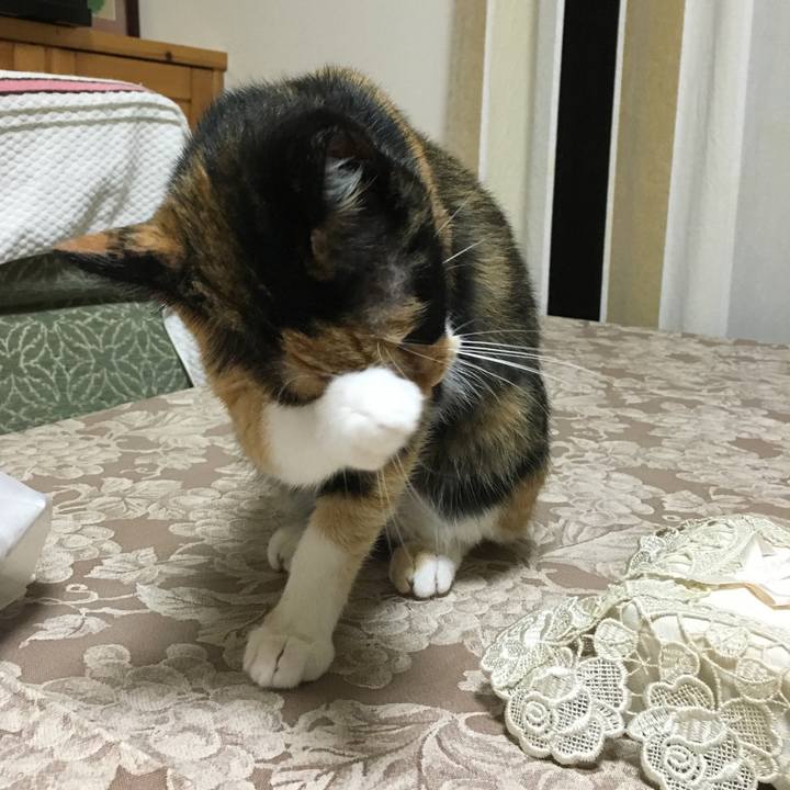 Edd41879 394d 4598 81f0 cdfdb98480de