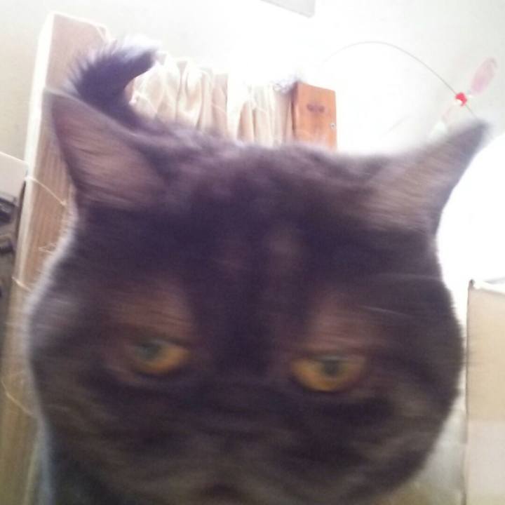 Edd4aea9 9700 45de a9ca 30540700d3a2