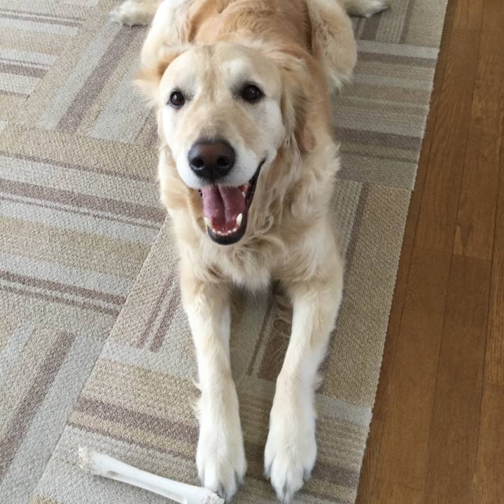 Edd4dcda 9ff5 4535 ab4b 46839f6ec9fc