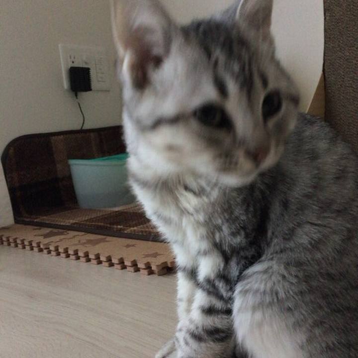 Edd5821f 5bf2 45c9 9875 96ddd82bc08a