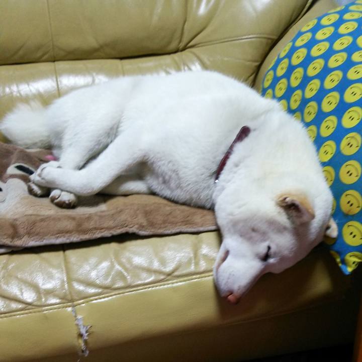 Edd58cf3 02a0 43a3 9705 033e4cf69529