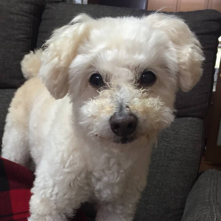 Edd5a46a 703c 47ce 824c 7121124b817d