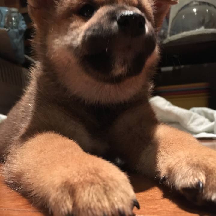 Edd5b58f 3a28 46e9 8c15 61a5a25e5f0e