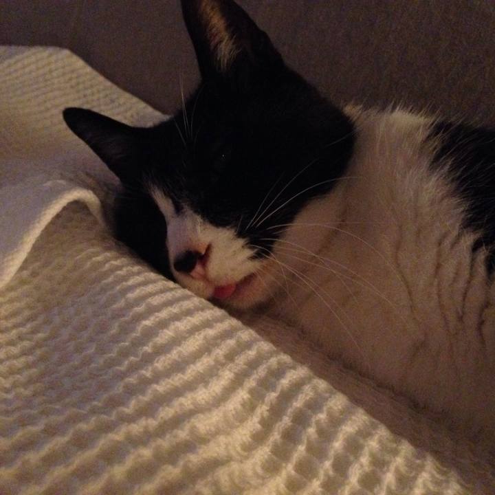 Edd6b4d9 e6f3 4020 835b b322ed5193bf