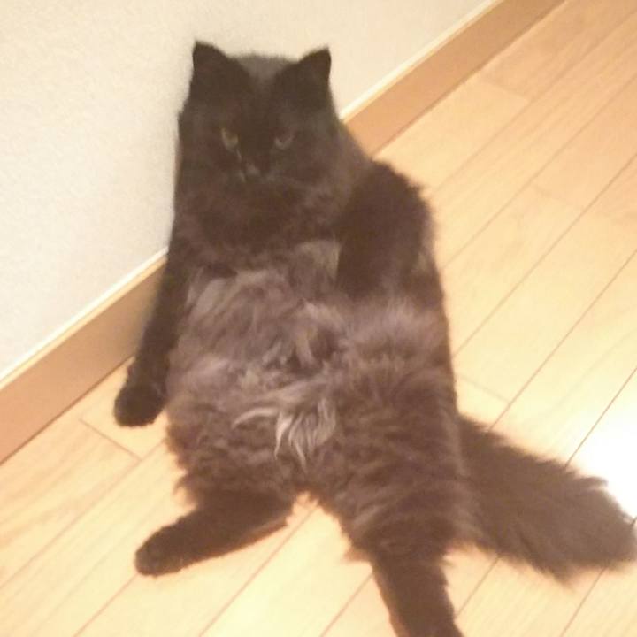 Edd6e2d0 e579 4e27 b8eb d3e8e7a33ebe