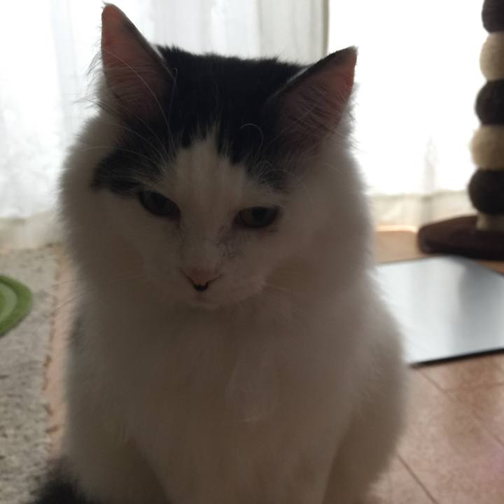 Edd70ffa 8b9a 43f1 bfc1 a4456e8db359