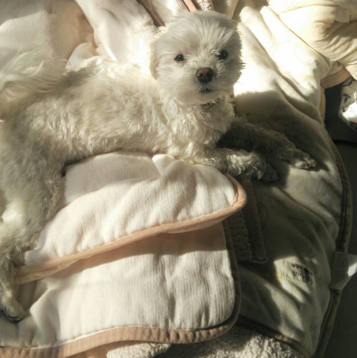 Edd718cc d518 47f4 a992 237b03cb9e5f