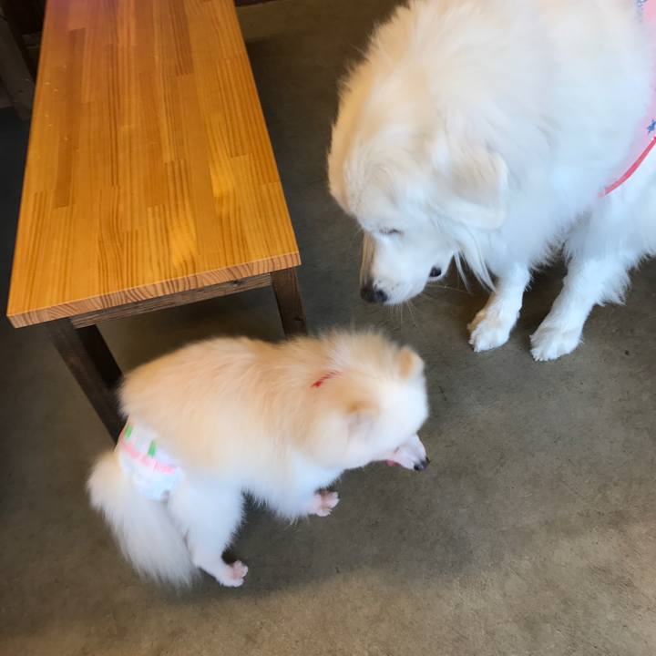 Edd78812 122d 41cf 8d03 b6528b9db29e