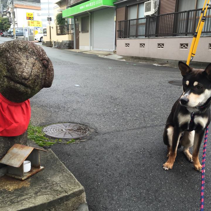 Edd7c90a f677 4e46 8cb5 4ca477a8cce2