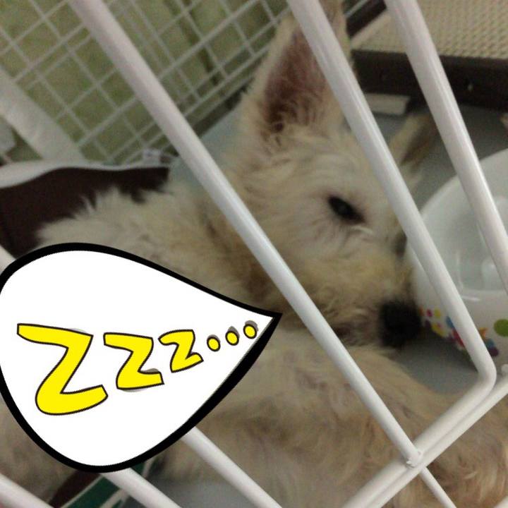 Edd7f718 0644 4342 ae3d 3325908399d5