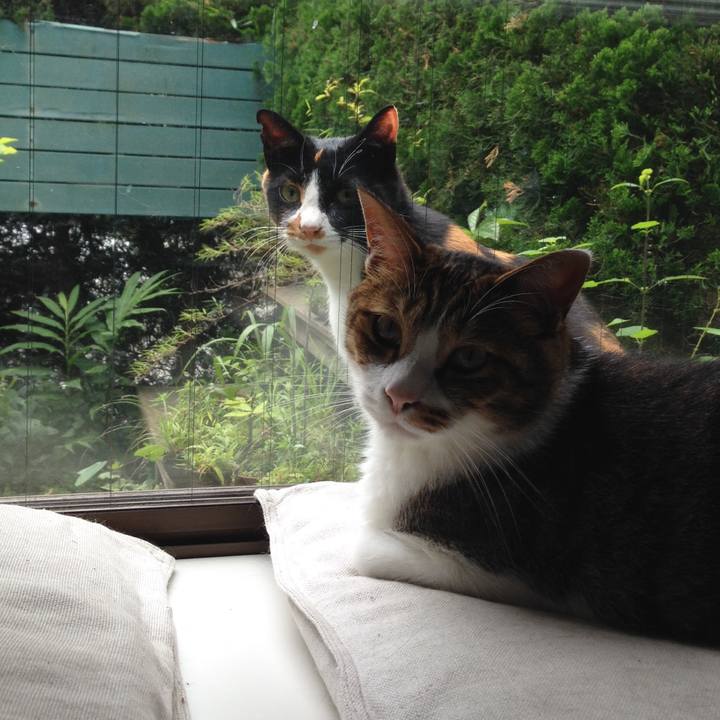 Edd86b08 25c8 48ae 9c17 f0c4aaf770ab