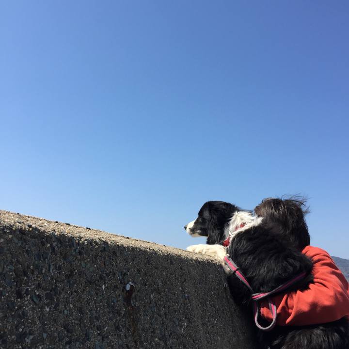 Edd87d7d f6e0 46cd a941 867f928c6518