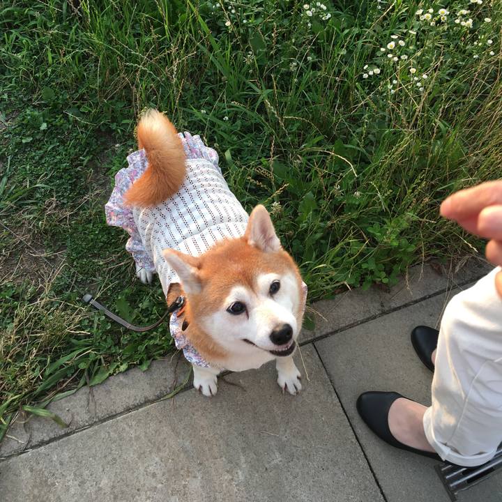 Edd883f3 c0dc 49f3 a402 463f5029999e