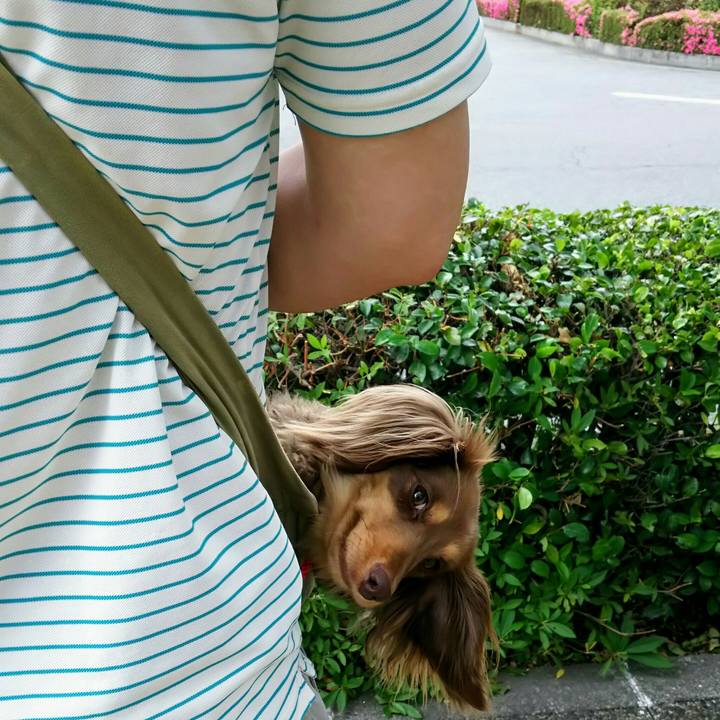 Edd8dc37 c614 49f5 b21d a795146c0891