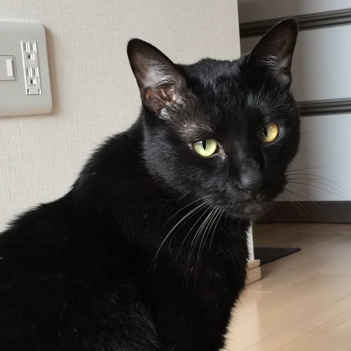 Edd90f6a fec3 4197 be18 2a212ffa0c8a