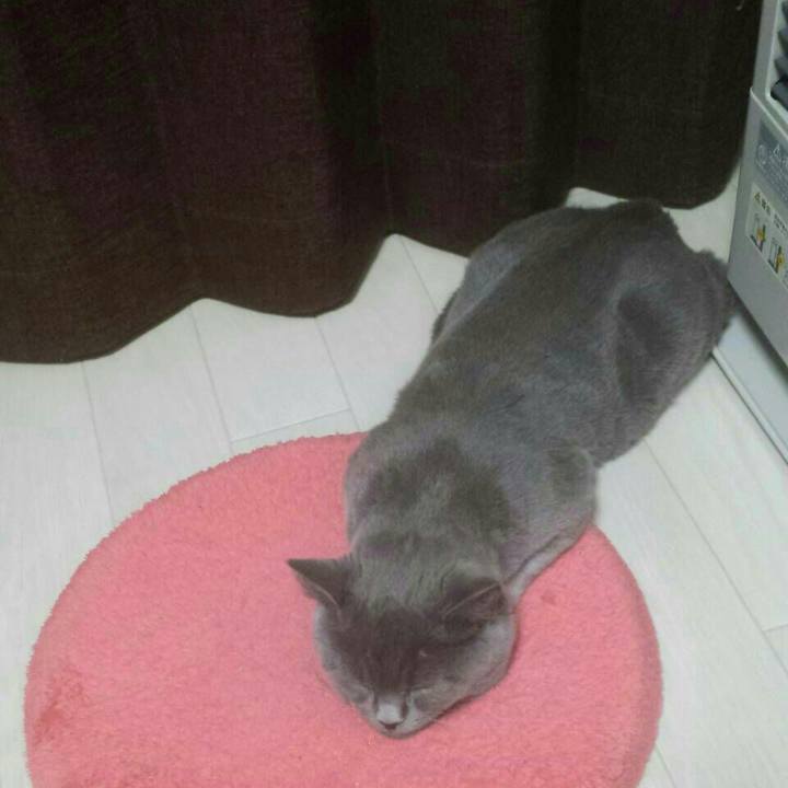 Edd959de 1b5e 40a7 957a 5ee02de79f90