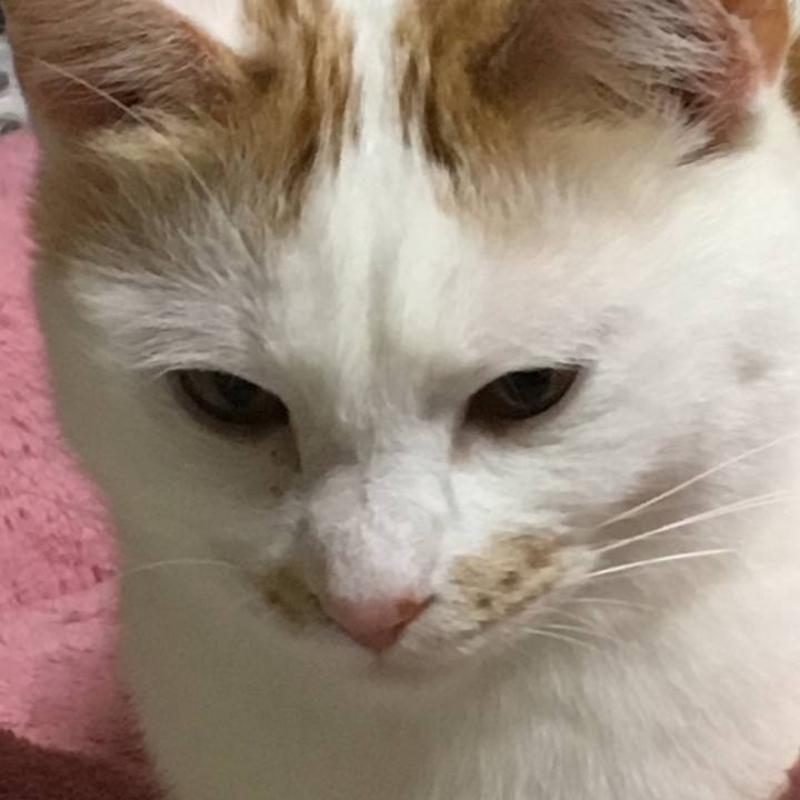 Edda926e 7710 491f 8f10 c9b630033177