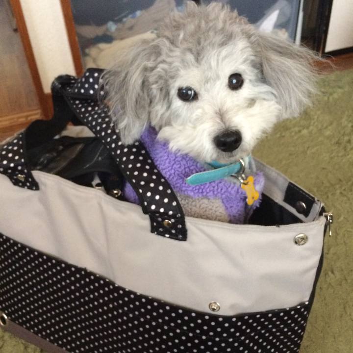 Eddabcba 1f7a 4697 91b4 f0c48afde397