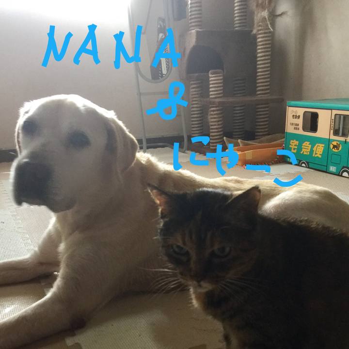 Eddad8f9 673d 45f4 a624 8b2b64834077