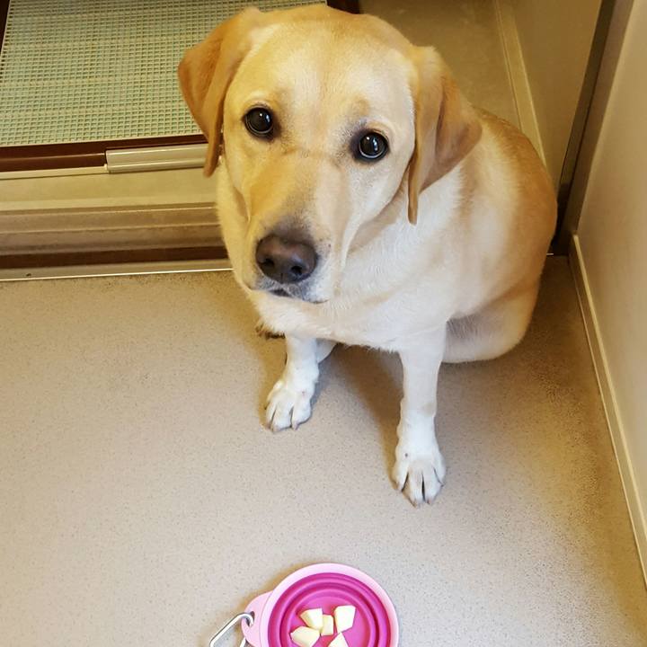 Eddafe9e 5fef 4c9f 9edb e66558608bd7