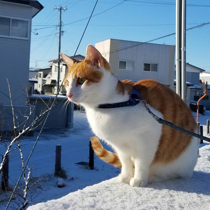 Eddb0f5e 0525 43e9 a35c 85534230e095