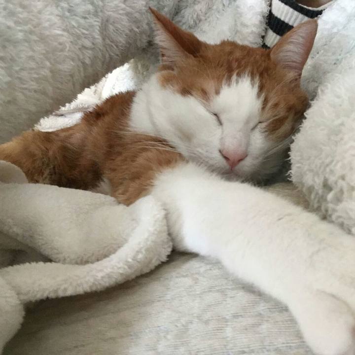 Eddb276f 0143 4f86 b745 bfa68c6046e0