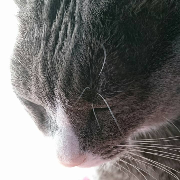 Eddb5379 5ff1 47d3 9b99 ef021938b859