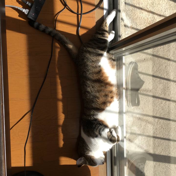 Eddb9891 c201 4a1f 8c4d 75ebd640b5cb