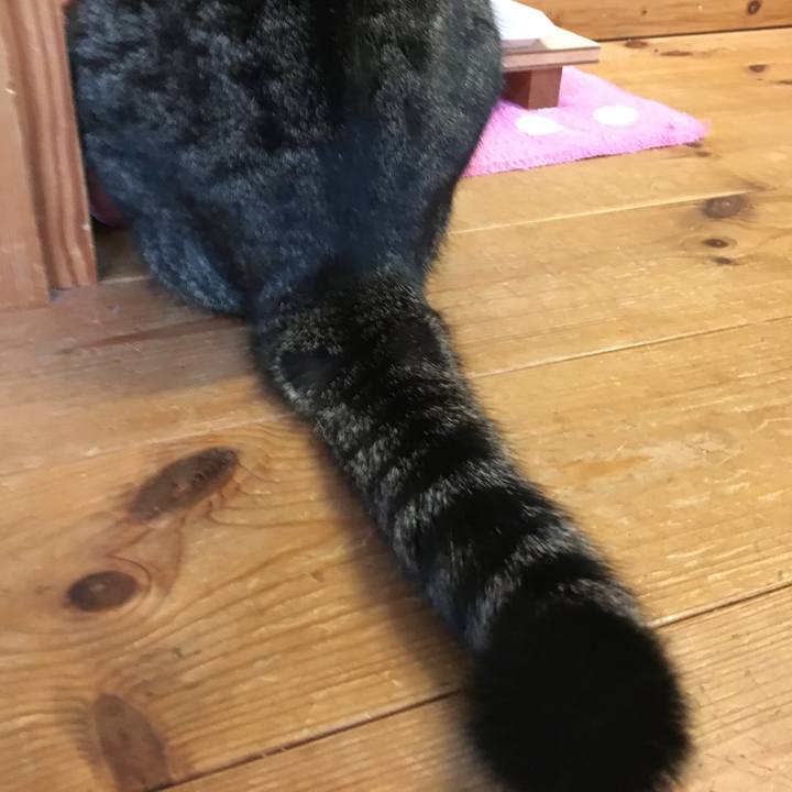 Eddbc31b ebbe 4c2c 91b8 134b398a3689