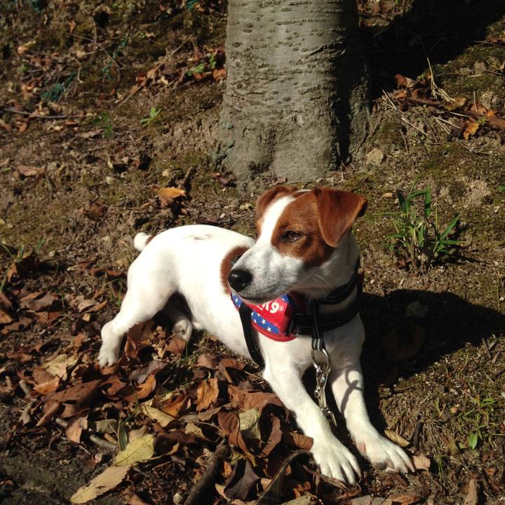 Eddc047f 331a 4fd6 aa7f 862e721e48b8