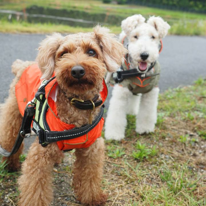 Eddc4229 5040 4de3 afb1 59bf376c04a8