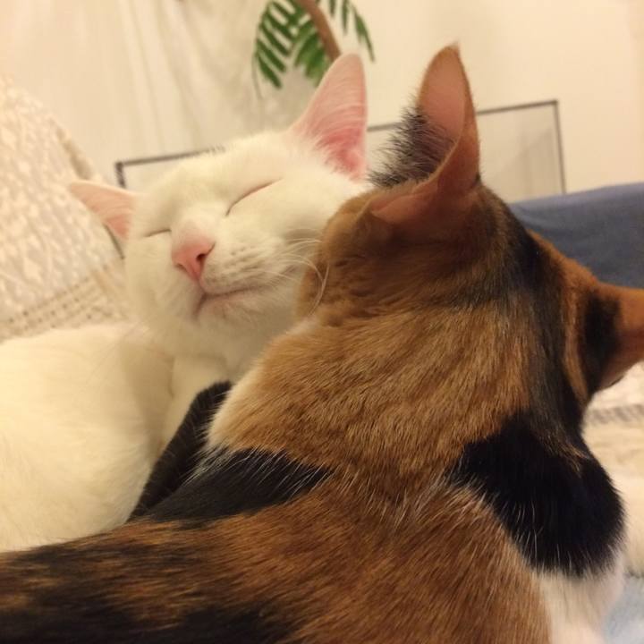 Eddc7e42 0a4e 4bb3 a7d9 6bfb492aad9a