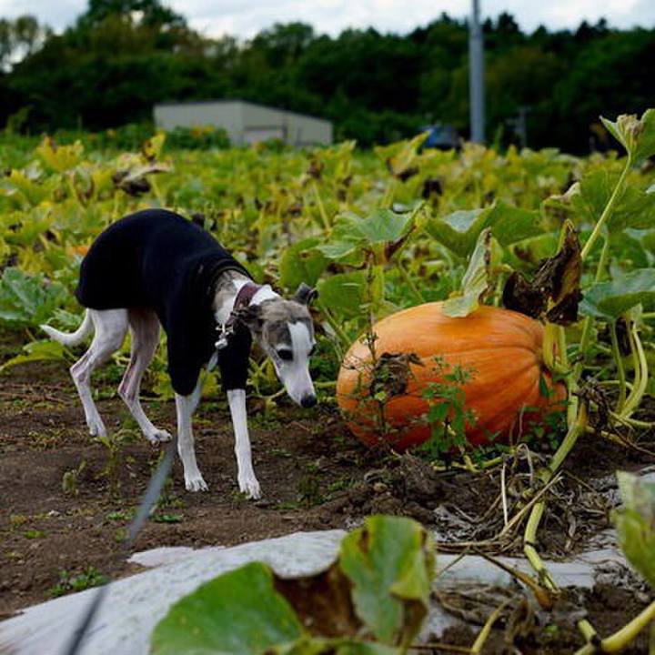 Eddcb439 8a5d 4698 8f1b ceb5cb1f422b