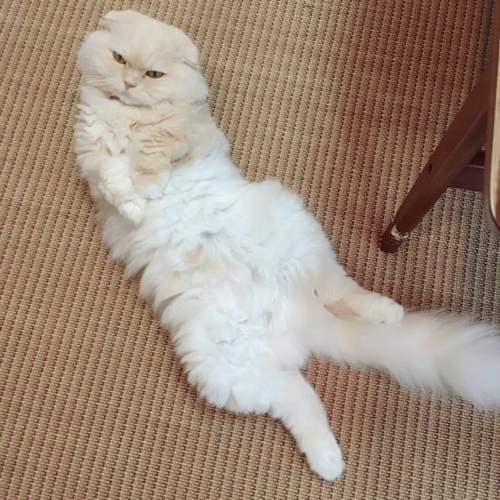 Eddcdf55 7448 4953 8030 5c45f2f81012