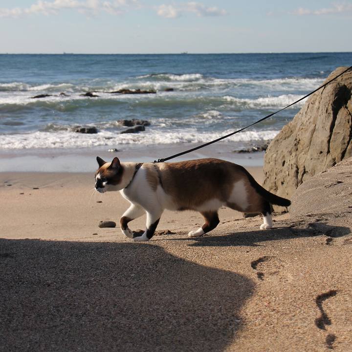 Eddcff3a b942 4cea 9363 eceacf2d5aa3