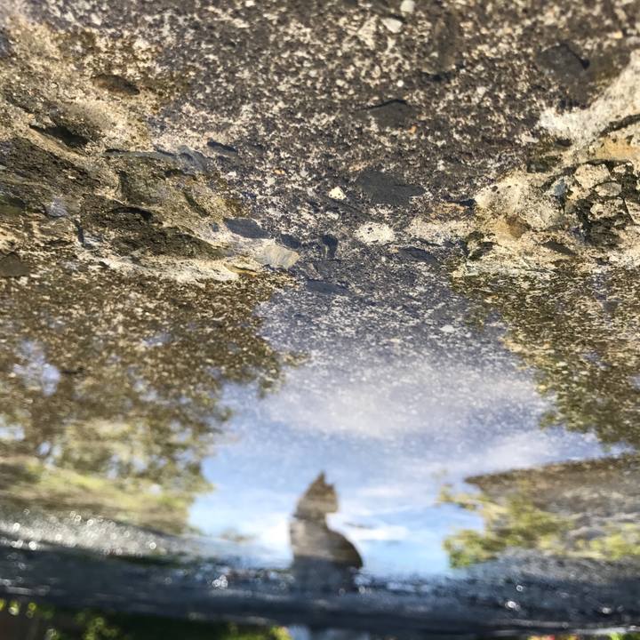 Eddd19de b6a5 48ab 8b70 a6b3c9024824