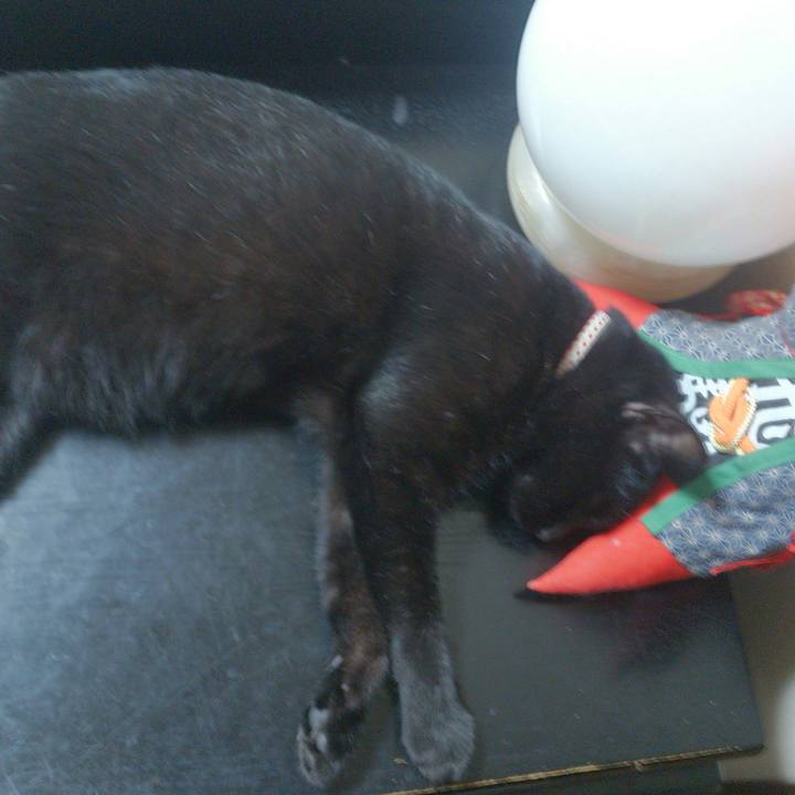 Eddd9497 9412 4ff8 abb0 7103333c8ca6