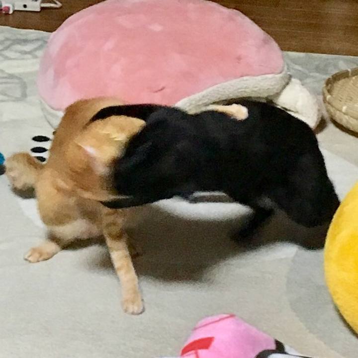 Edddab0d 962f 437f bf55 b8b7b3494e79