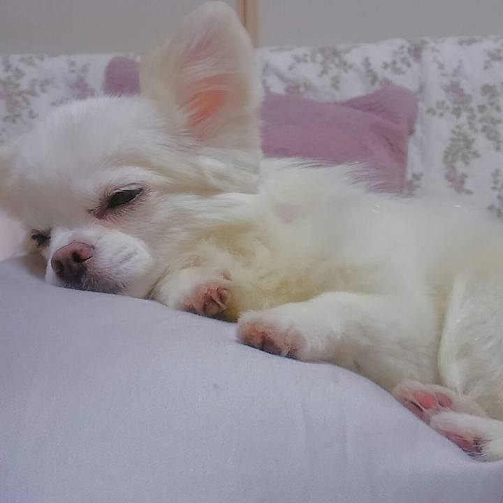 Edddf3ec f736 4c80 b8c1 9f5bdf3ff8a7