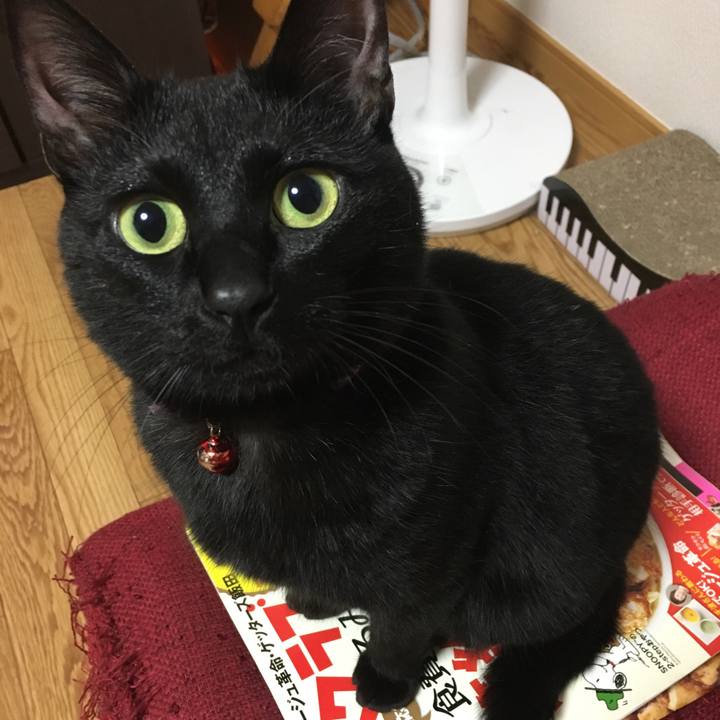 Eddeab43 263c 4520 a3f4 014d1ca3edfc