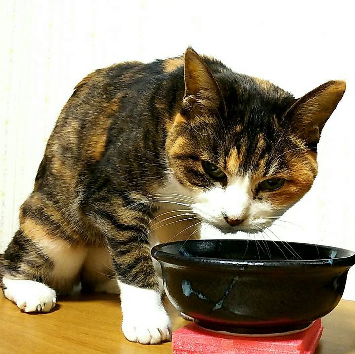 Eddeb28d d75b 428d 8393 eebb0b40b852